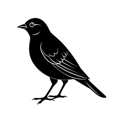 Bird Silhouette vector illustration