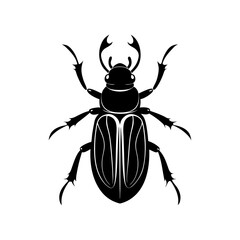 Beetle Silhouette vector illustration