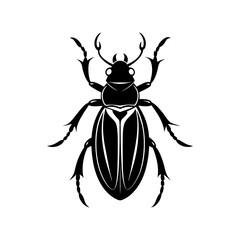 Beetle Silhouette vector illustration