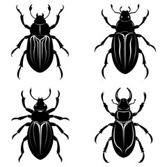 Beetle Silhouette vector illustration