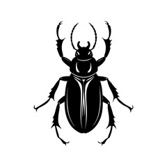 Beetle Silhouette vector illustration