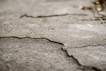 Obraz premium Close-up view of aged pavement's numerous cracks.