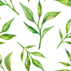 Fototapeta premium Tea leaves seamless pattern. Food background with tea leaves watercolor in hand drawn style. Tea background for paper, textile, wrapping and wallpaper.