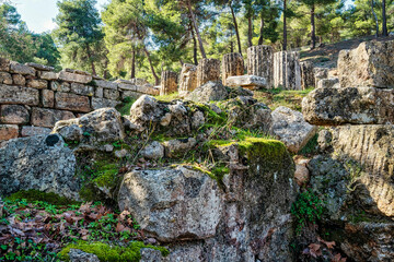 Temple Ruins and Doric Column Bases at Amphiaraeion
