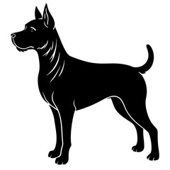 black dog isolated on white background