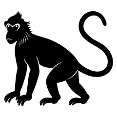 Monkey silhouette isolated on white background