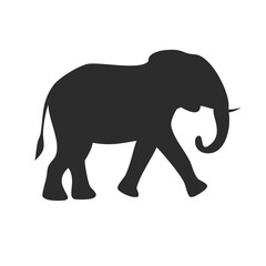 Elephant walking calmly