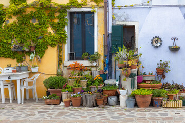 Colorful house wall with garden pots in Burano
