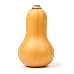 pumpkin isolated on white background