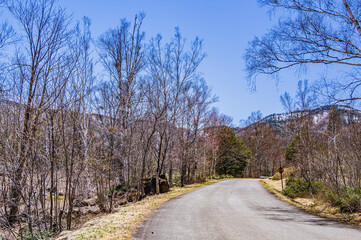 春の乗鞍高原をドライブ　