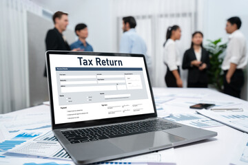Online tax return form for submitting individual income tax return form brisk on the internet...