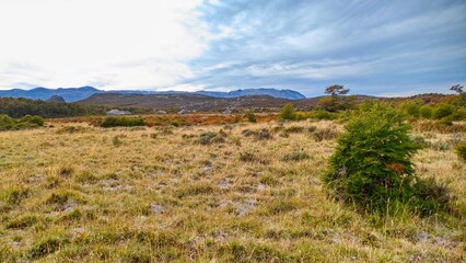 beautiful amazing patagonia nature in south america