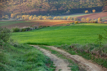 Beautiful rural landscape from the Republic of Moldova. Village life in spring.