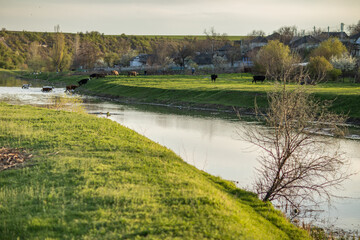 Beautiful rural landscape from the Republic of Moldova. Village life in spring.