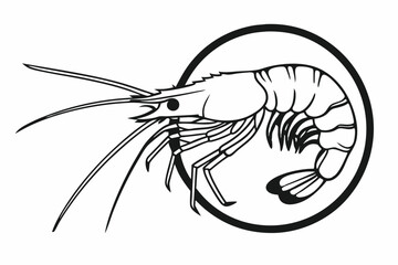 shrimp vector illustration