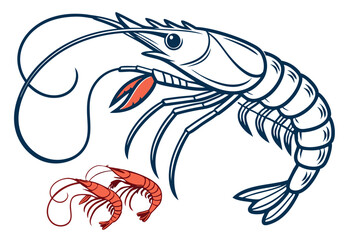 shrimp vector illustration