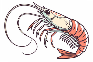 shrimp vector illustration