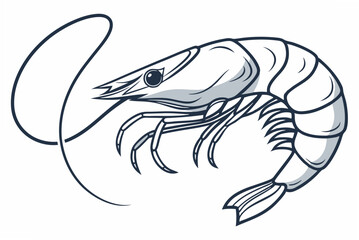 vector illustration of a shrimp