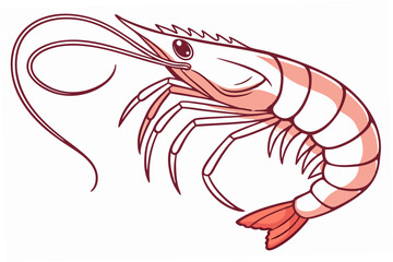 vector illustration of shrimp