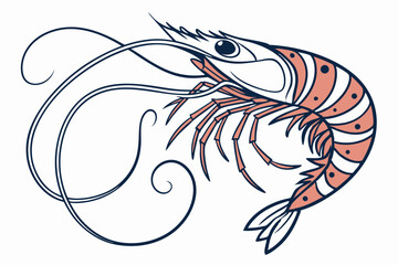 vector illustration of shrimp