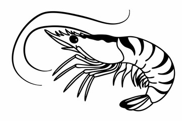 vector illustration of a lobster