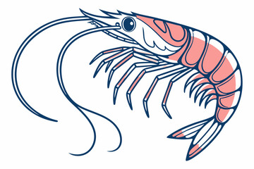 vector illustration of shrimp
