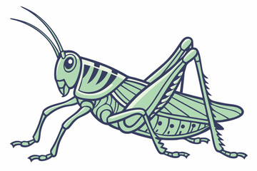 grasshopper on a white background