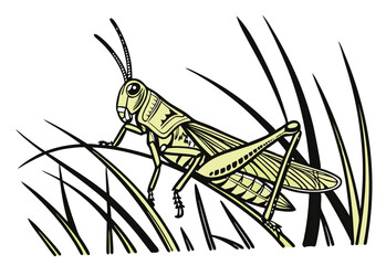 grasshopper on the grass