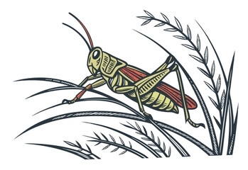 grasshopper on a branch