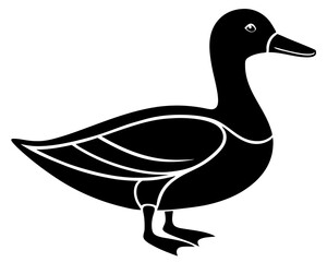 duck isolated on white background