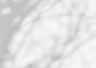 Obraz premium Shadow of leaves tree plant overlay on white wall. Sunlight effect shadow on the wall. Minimal blurred backdrop backgrounds. Summer tropical surface background.