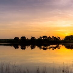 Naklejka premium Sunset Casting Golden Hues Over Calm Lake and Tranquil Landscape