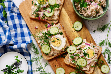 Tuna Salad Sandwiches with Eggs and Cucumbers..top veiw