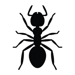Silhouette of an ant showing its anatomy including the antennae and legs