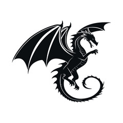 black dragon on white