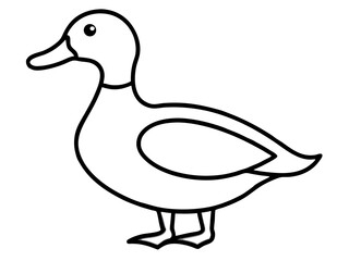 vector illustration line art duck