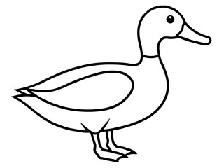 vector illustration line art duck
