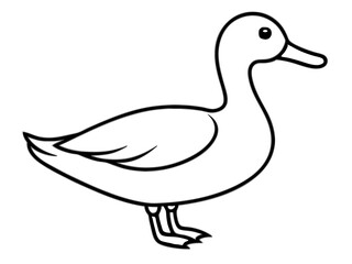 vector illustration line art duck