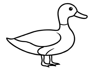 vector illustration line art duck