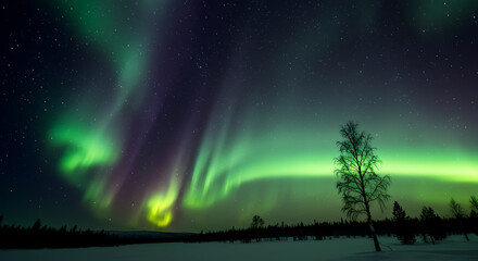 Enchanting aurora borealis illuminating winter landscape at night  