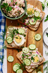 Tuna Salad Sandwiches with Eggs and Cucumbers..top veiw