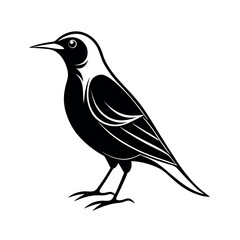 Starling Bird Silhouette Vector