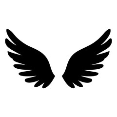 Symmetrical black and white image of two outstretched wings in flight