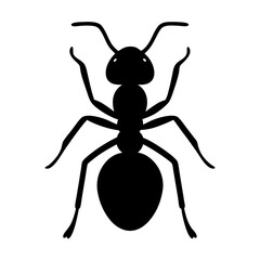 Black Silhouette of an Ant Against a White Background, a Simple Depiction