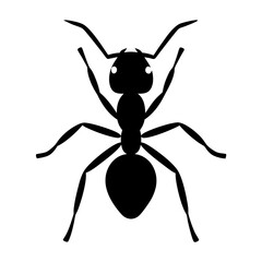 Black silhouette of an ant on a white background illustration