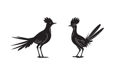 Roadrunner Bird Silhouette SVG Wild Exotic Bird Clipart for Cricut, Crafts, and Tattoo Designs