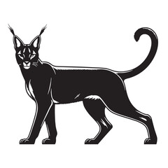 Technical caracal silhouette vector with precise edges for pixel-perfect graphics – caracal silhouette – caracal vector – caracal illustration – silhouette of caracal

