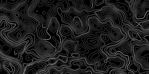 Generate a high-contrast black and white topographic map featuring detailed contour lines. The map should display various elevations using closely spaced, Topography and geography map grid abstract.