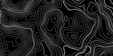 Obraz premium Generate a high-contrast black and white topographic map featuring detailed contour lines. The map should display various elevations using closely spaced, Topography and geography map grid abstract.