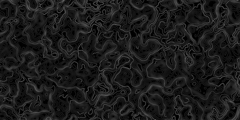 Generate a high-contrast black and white topographic map featuring detailed contour lines. The map should display various elevations using closely spaced, Topography and geography map grid abstract.